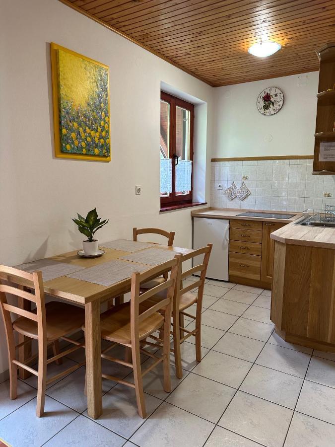 Apartment Jozi Soča Kamer foto