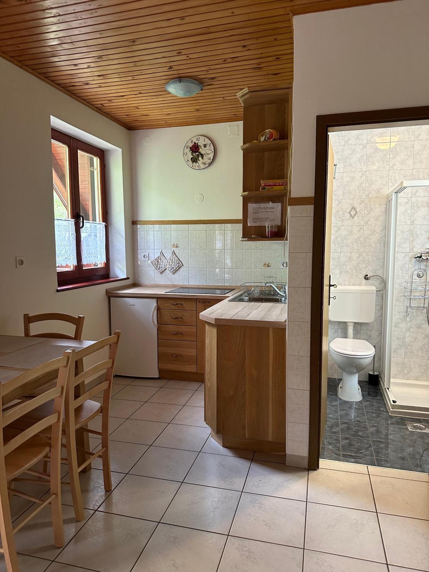 Apartment Jozi Soča Kamer foto